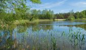 Tocht Te voet Märkische Heide - Wanderweg Schlepzig-Dürrenhofe (grüner Balken) - Photo 6