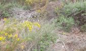 Trail Walking Saint-Cannat - l étape. cricri.... - Photo 2