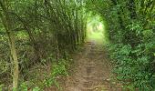 Trail Walking Hamoir - Filot 220725 - Photo 3