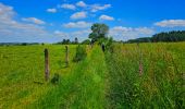 Tour Wandern Libramont-Chevigny - Balade à Remagne - Libramont-Chevigny - Photo 6