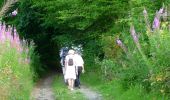 Randonnée Marche Houffalize - GrWandARd 36: Grande-Mormont het fraaiste van de Oostelijke Ourthe - Photo 12