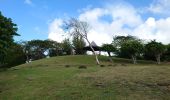 Tocht Stappen Sainte-Luce - Sainte-Luce, Trois-Rivières  - Photo 10