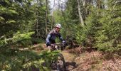 Tour Mountainbike Weismes - J5 super rando - Photo 3