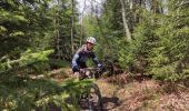 Tocht Mountainbike Waimes - J5 super rando - Photo 3