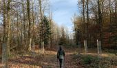 Tour Wandern Bouillon - Corbion - pont de l’Epinet - Photo 4