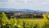 Tocht Stappen Riom - Riom_Vignes_Ronchalon - Photo 1