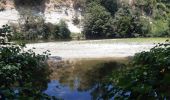Tour Wandern Montesquieu-des-Albères - montesquieu-des-alberes entre canaux, rivières et tech  - Photo 15