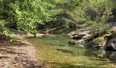 Tocht Stappen Saint-Martin-de-Boubaux - Galeizon rando semi aquatique  - Photo 3