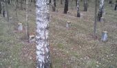 Randonnée A pied Bastogne - Promenade du chemin des Pélerins - Photo 2