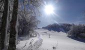 Randonnée Raquettes à neige Léoncel - Le Grand Echaillon - Les Crêtes de la Sausse - Photo 20