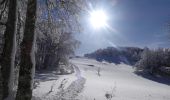 Tour Schneeschuhwandern Léoncel - Le Grand Echaillon - Les Crêtes de la Sausse - Photo 20