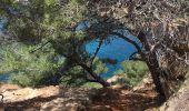 Tour Wandern Le Rove - Calanques de Niolon - Photo 12