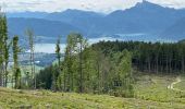 Tocht Stappen Thalgau - De Wasenmoos à la Chapelle du Kolomansberg - Photo 11