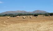 Trail Walking Gualta - Gualta 100725 - Photo 2