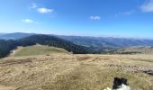 Trail Walking Wasserbourg - wasserbourg - le sommet du petit ballon  - Photo 1