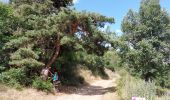 Trail Walking Saint-Nectaire - TOUR DU PUY D' ERAIGNE DEPUIS LE CAMPING 