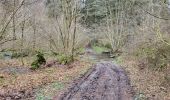 Trail Walking Bouillon - Cornimont 100324 - Photo 4