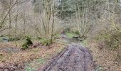 Tocht Stappen Bouillon - Cornimont 100324 - Photo 4