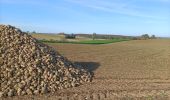 Excursión Senderismo Heerlen - Putberg tot Slakkenpad en terug  - Photo 3