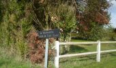 Trail Walking Le Thuit-de-l'Oison - 20221001-Thuit Signol - Photo 13