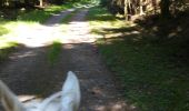 Trail Horseback riding Métairies-Saint-Quirin - rond pré baronnie château Turquestein la forêt  - Photo 14