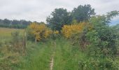 Tocht Stappen Houffalize - rando engreux 4-06-2022 - Photo 3