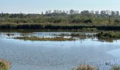 Tocht Stappen Dendermonde - Dendermonde Kastel 17,8 km - Photo 9