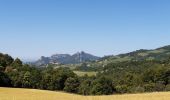 Percorso Bici da strada Entrechaux - gigondas les dentelles de Montmirail  - Photo 1