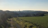 Trail Walking Walcourt - Randonnée autour de Walcourt - Photo 1