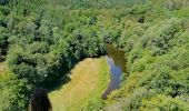 Trail Walking Chiny - Promenade vers le Rocher Du Hat - Photo 2