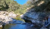 Tour Wandern Saint-Mélany - Le chemin des Lauzes - Photo 2