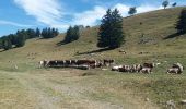 Tocht Stappen École - BAUGES: COL D'ARCLUSAZ - Photo 3