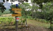 Trail Walking Saou - Petit Pomerolle par Lestang - Photo 10