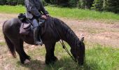 Percorso Equitazione Raon-sur-Plaine - col du Donon - Photo 1