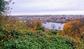 Tocht Te voet Fontainebleau - Sur les traces de Rosa Bonheur - Thomery - Photo 13