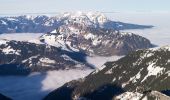 Randonnée A pied Isenthal - Bannalper Schonegg - Rot Grätli - Photo 4