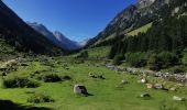 Randonnée Marche Cauterets - A/R la fruitière lac d'esthom  - Photo 11