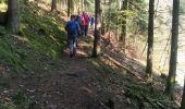 Trail Walking Kruth - Randonnée CVG lac de Wikdenstein - Photo 3