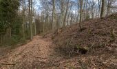 Trail On foot Hofheim in Unterfranken - Auf Jägerpfaden zur Schwedenschanze - Photo 6