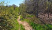 Trail Walking Mettet - La promenade du Planois à Biesme - Photo 5