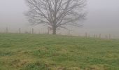 Randonnée Marche Herbeumont - Mon lit dans l'arbre Petit Tour - Photo 4