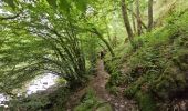 Trail Walking Florenville - Le Point de vue la Bohanan - Chassepierre - Photo 6