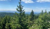 Randonnée Marche Champclause - Lac bleue  - Photo 3