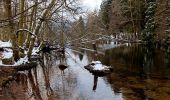 Tocht Stappen Xonrupt-Longemer - Le tour du lac de longemer  - Photo 17