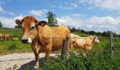 Tour Elektrofahrrad Arzenc-de-Randon - AUBRAC  3dle étape  - Photo 10