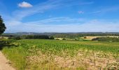 Trail Walking Ferrières - Marche ADEPS My 2024 15 KM - Photo 14