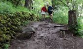 Tocht Stappen Le Puy-en-Velay - live Le Puy en velay - Saint Privat - Photo 8