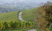 Trail On foot Weinstadt - Wanderweg Aichwald 1 - Photo 7