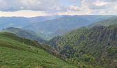 Trail Walking Stosswihr - Honeck depuis Gaschney - Photo 7