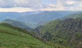 Randonnée Marche Stosswihr - Honeck depuis Gaschney - Photo 7